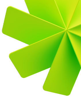 light green weel logo feature